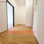 Rent 3 bedroom apartment of 60 m² in Trhový Štěpánov