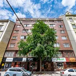 Rent 2 bedroom apartment of 58 m² in Prague