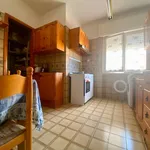 Rent 3 bedroom apartment of 77 m² in Roma