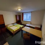 Rent 1 bedroom apartment in Vyškov