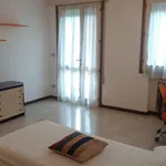 Rent a room in padua