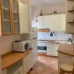 Rent 5 bedroom apartment of 110 m² in Orbetello