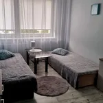 Rent 3 bedroom house of 100 m² in Wrocław