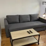 Appartement de 34 m² avec 1 chambre(s) en location à Toulouse