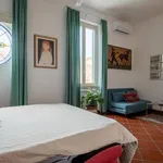 Rent 1 bedroom apartment in Rome