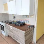 Rent 1 bedroom apartment in České Budějovice