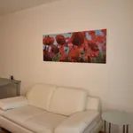 Rent 2 bedroom apartment of 753 m² in Zurich