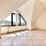 Rent 1 bedroom apartment in NAMUR