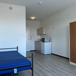 Rent a room of 16 m² in Binckhorst