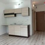 Rent 1 bedroom apartment in Chomutov