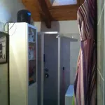 Rent 2 bedroom apartment of 45 m² in Vigevano