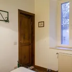 Rent 1 bedroom apartment of 50 m² in rome