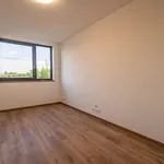 Pronajměte si 4 ložnic/e dům o rozloze 300 m² v Těrlicko