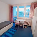 Pronajměte si pokoj o rozloze 80 m² v Prague