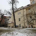 Rent 1 bedroom apartment of 45 m² in Capital City of Prague