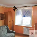 Rent 3 bedroom apartment of 52 m² in Gorzów Wielkopolski