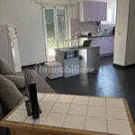 Rent 3 bedroom apartment of 70 m² in Rome