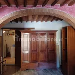 Rent 3 bedroom apartment of 70 m² in Pisa