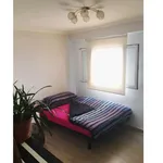 Rent a room of 75 m² in valencia