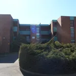 Rent 3 bedroom apartment in Lyneham