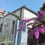 Rent 4 bedroom house of 180 m² in Pescara