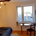 Rent 1 bedroom apartment of 75 m² in Hanover