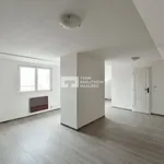 Rent 1 bedroom apartment in Capital City of Prague