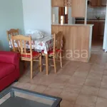 Rent 3 bedroom apartment of 60 m² in Gatteo