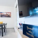 Rent 1 bedroom apartment in Bologna