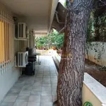 Rent 2 bedroom apartment of 85 m² in ΒΟΥΛΙΑΓΜΕΝΗ