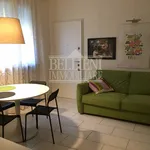 Rent 2 bedroom apartment of 50 m² in Vicenza