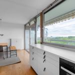 Rent 2 bedroom apartment of 70 m² in Köln