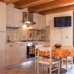 Rent 2 bedroom apartment of 60 m² in Buggerru