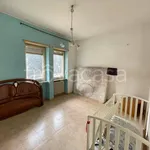 Rent 2 bedroom apartment of 45 m² in Torino