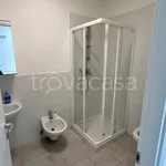 Rent 1 bedroom apartment of 50 m² in Trento