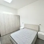 Rent 3 bedroom apartment of 77 m² in Turin