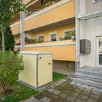 Wohnung über 50 m² in Dresden