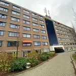 Huur 1 slaapkamer appartement van 20 m² in Middelburg