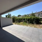 Rent 2 bedroom apartment of 45 m² in Ajaccio