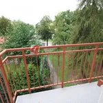 Rent 1 bedroom apartment of 28 m² in Tarnów