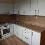 Pronajměte si 3 ložnic/e byt o rozloze 52 m² v Prague