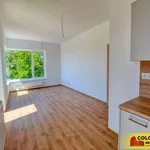 Pronajměte si 2 ložnic/e byt o rozloze 46 m² v Znojmo