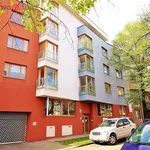 Rent 4 bedroom apartment of 110 m² in Brno-Královo Pole