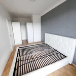 Rent 2 bedroom apartment in Capital City of Prague