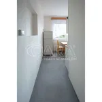 Rent 2 bedroom apartment in Neratovice