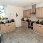 Rent 3 bedroom house in Exeter