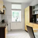 Rent 2 bedroom apartment of 53 m² in Leipzig