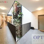 Rent 3 bedroom apartment of 98 m² in Praha