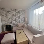 Pronajměte si 1 ložnic/e byt o rozloze 43 m² v Prague