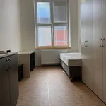 Rent 1 bedroom apartment of 24 m² in Praha